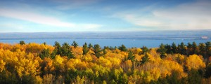 View from Hartley Nature Area